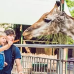 START PLANNING YOUR WINTER ESCAPE TO ALABAMA