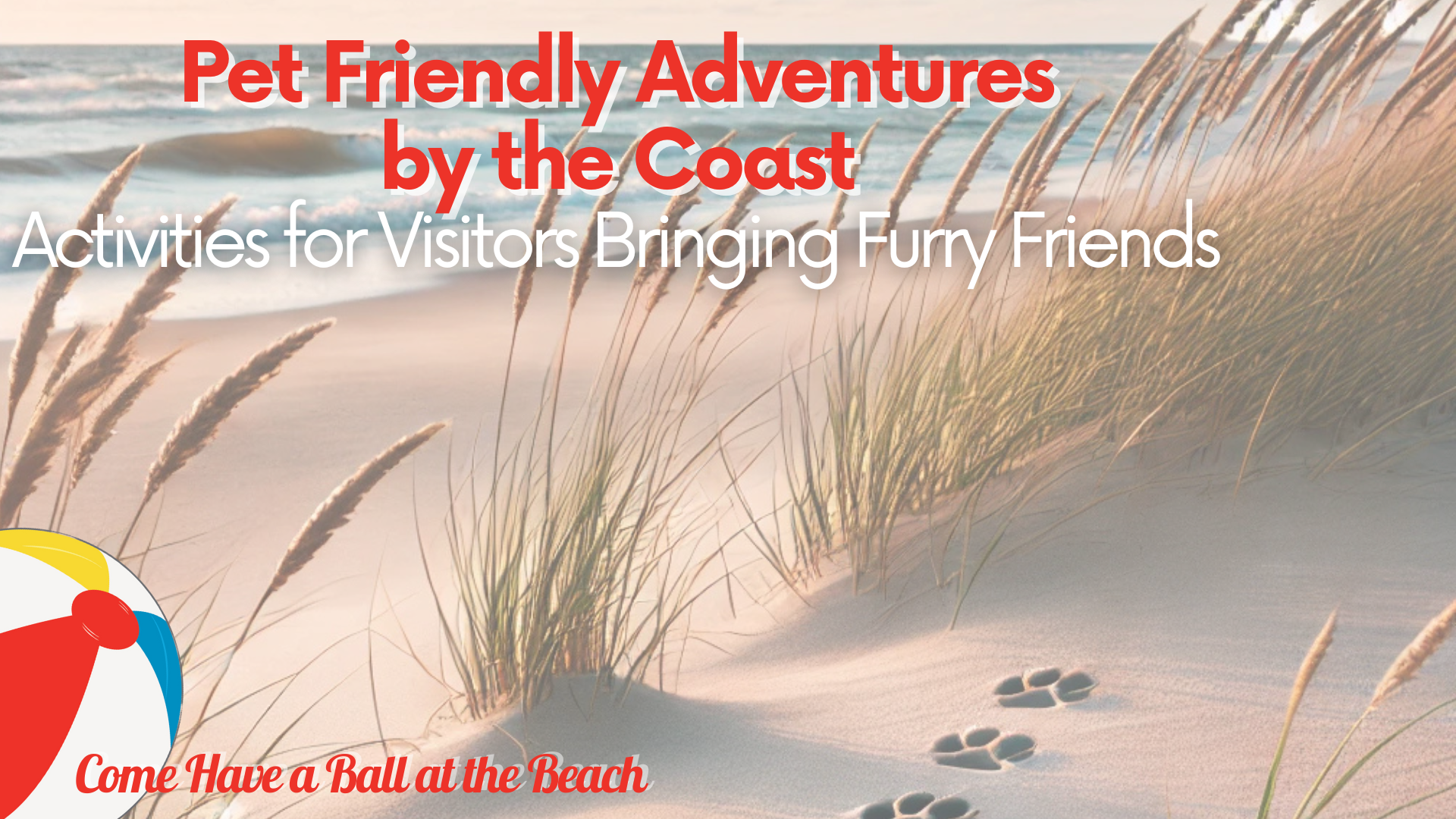 Pet-Friendly Adventures by the Coast