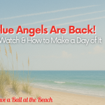 Blue Angels Banner