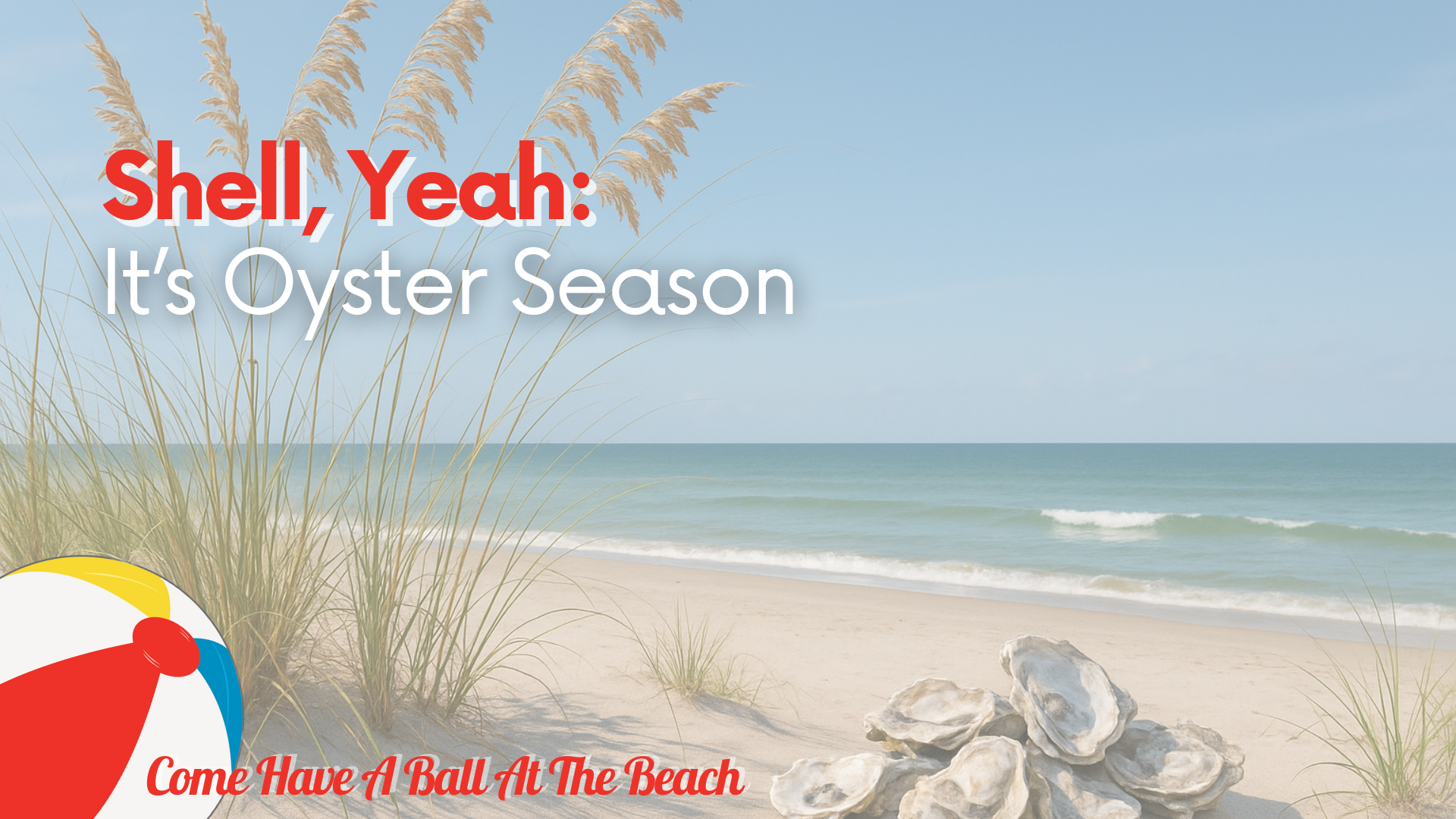 Shell, Yeah: It’s Oyster Season