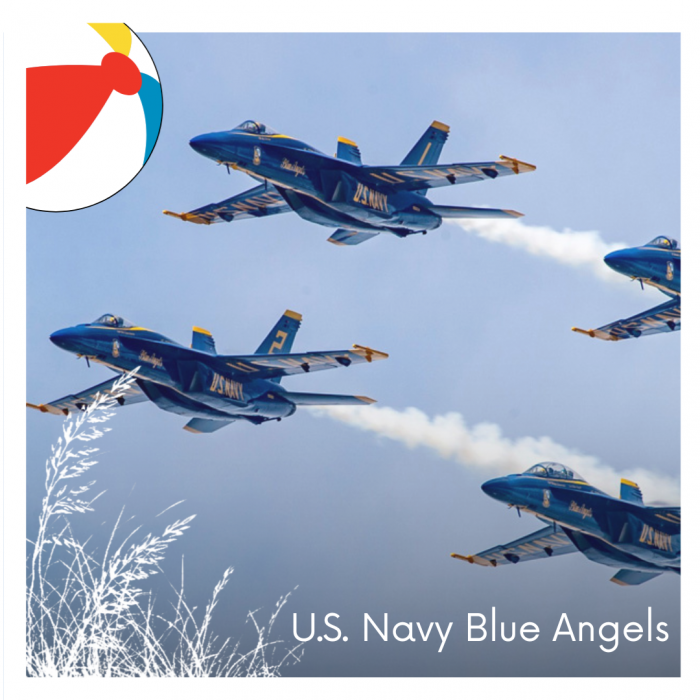 U.S. Navy Blue Angels