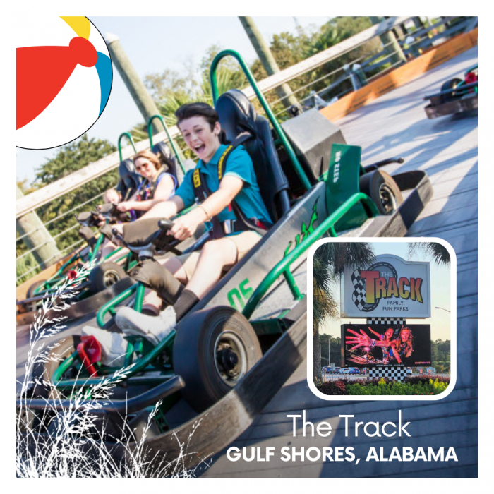 Go Carts, The Track in Gulf Shores