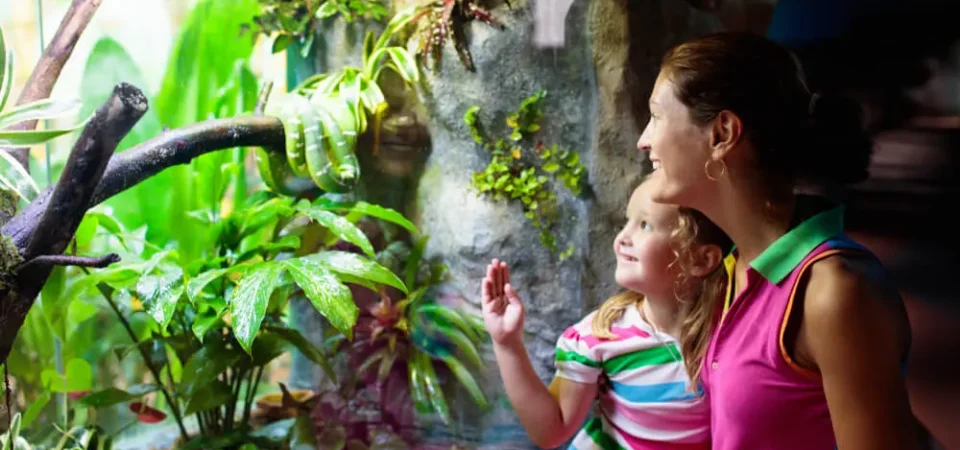 HOW TO GET AN UP-CLOSE LOOK AT ANIMALS IN ALABAMA