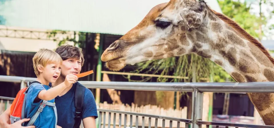 START PLANNING YOUR WINTER ESCAPE TO ALABAMA .